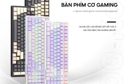 Bàn phím cơ Newmen GM328 E-Sports