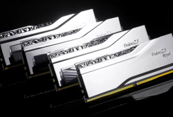 RAM G.Skill Trident Z5 ROYAL RGB 32GB (2x16GB) 6400 DDR5 Silver (F5-6400J3239G16GX2-TR5S)